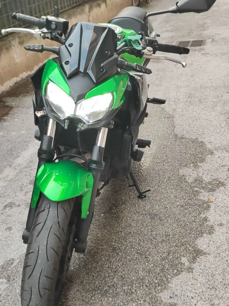 Kawasaki Z 650 Sport (2021 - 24)