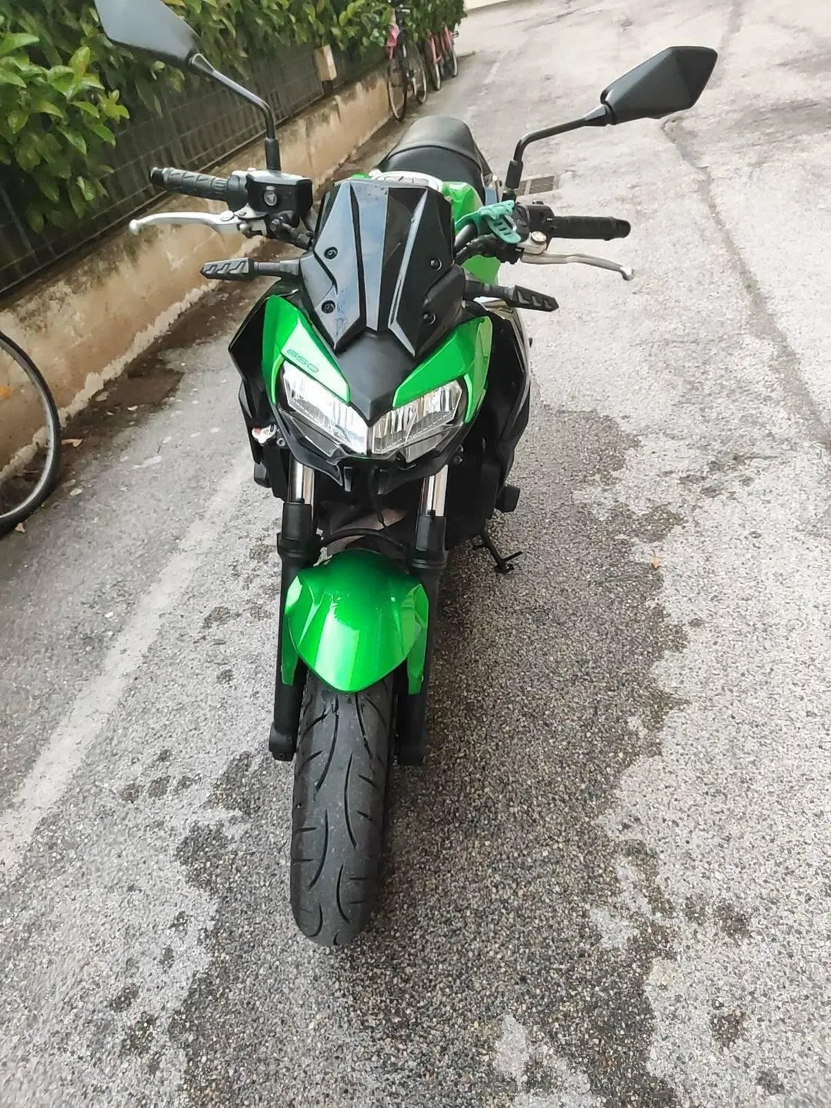 Kawasaki Z 650 Sport (2021 - 24) (3)