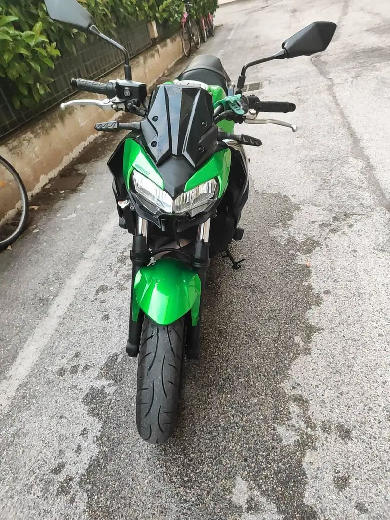 Kawasaki Z 650 Sport (2021 - 24) (3)