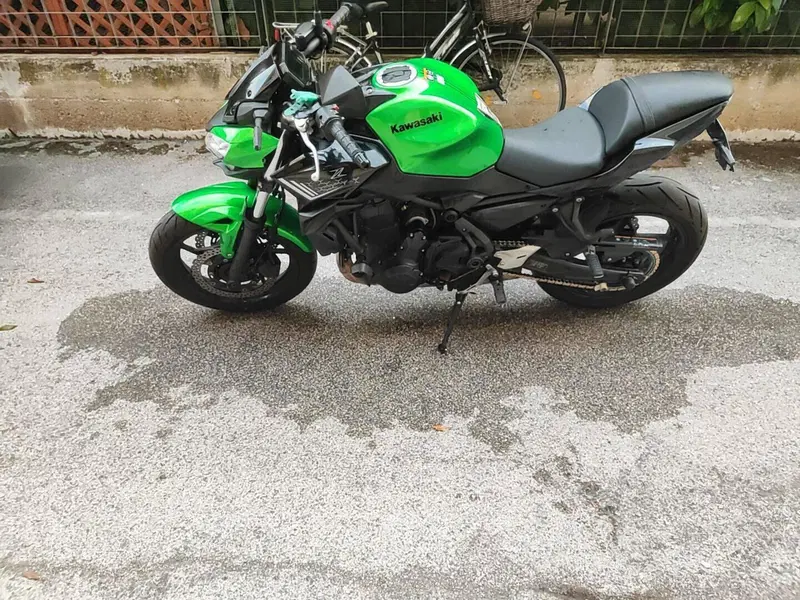 Kawasaki Z 650 Sport (2021 - 24) (4)