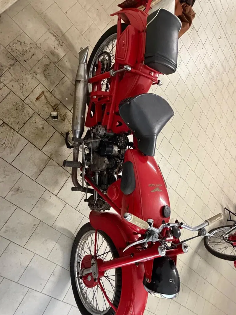 Moto Guzzi  moto guzzi 250 (6)