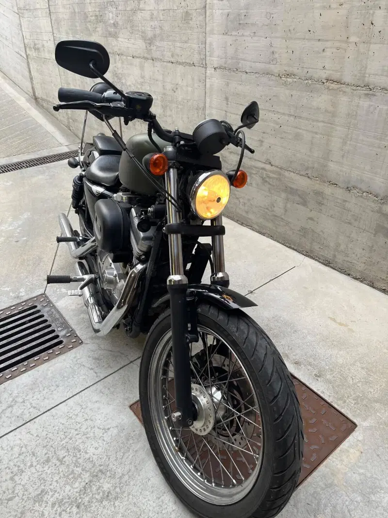 Harley-Davidson 883 (2006 - 07) - XL (9)