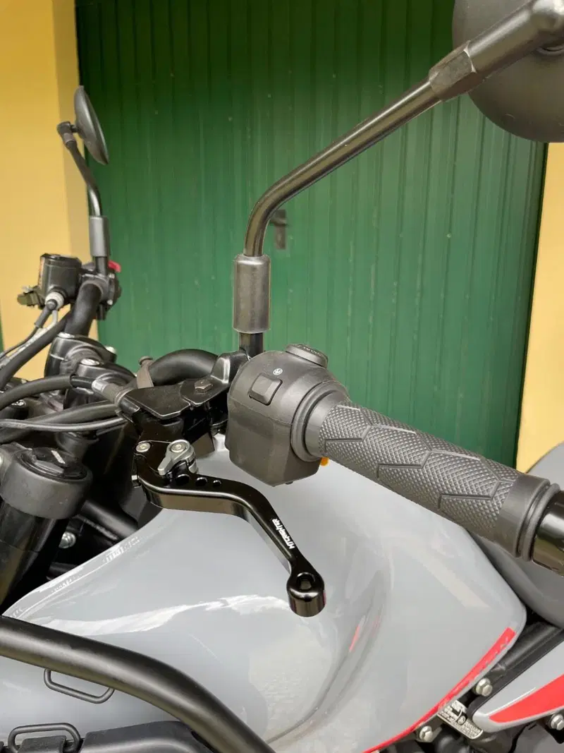 Royal Enfield Himalayan 450 (2024 - 26) (5)