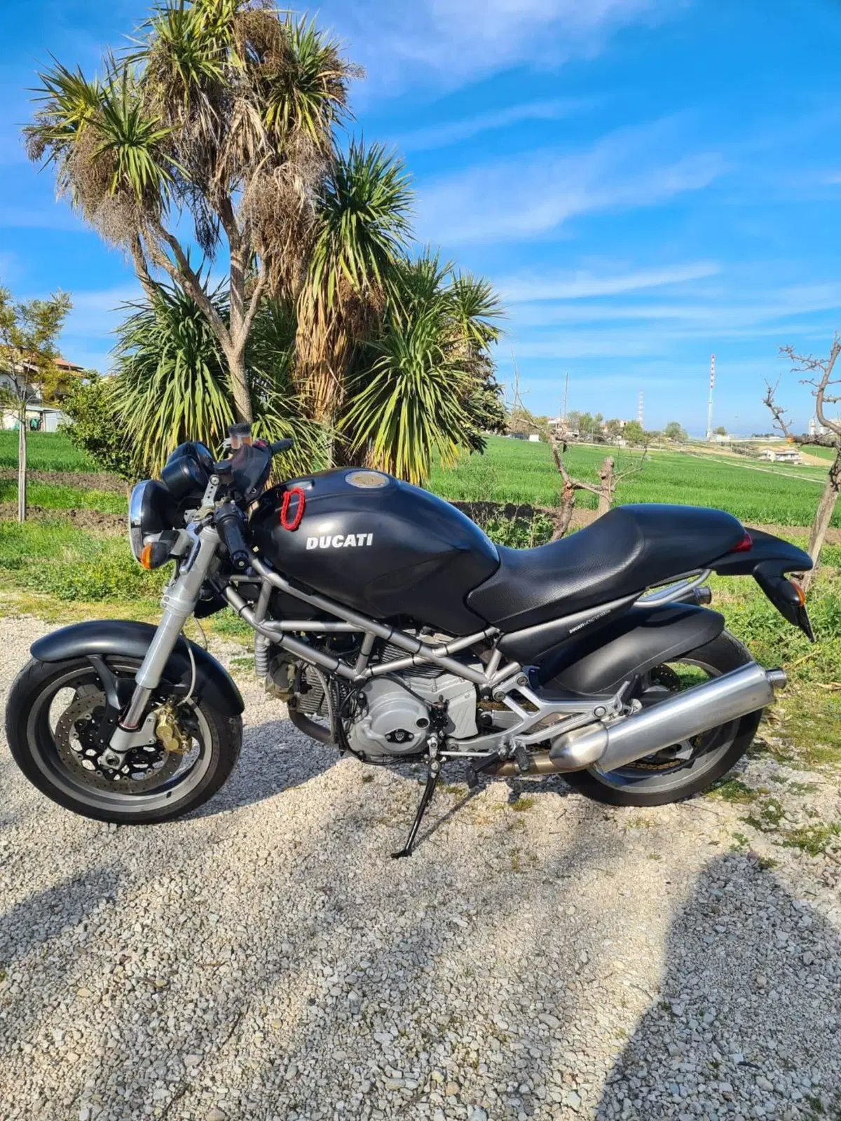 Ducati Monster 1000 DS (2003 - 05) (5)