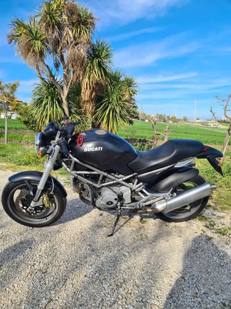Ducati Monster 1000 DS (2003 - 05) (5)