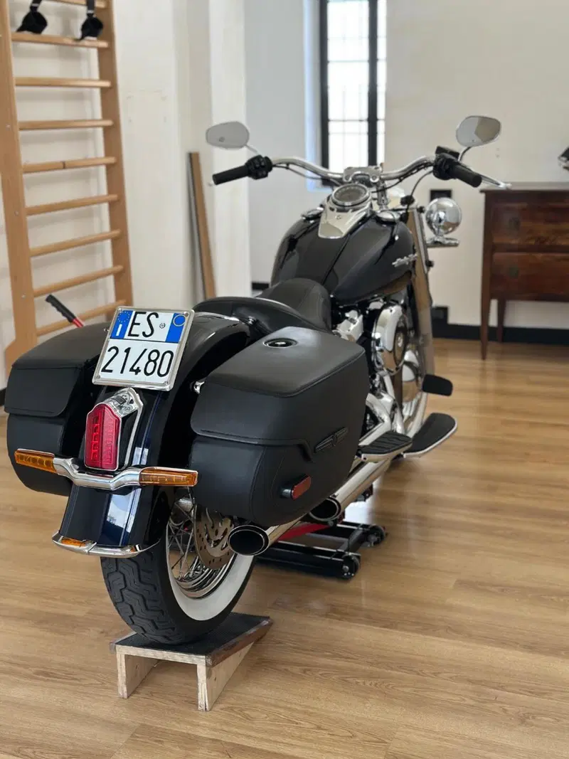 Harley-Davidson 107 Deluxe (2018 - 20) - FLDE (11)