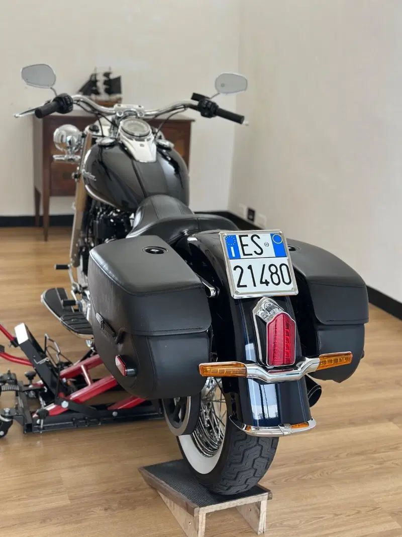 Harley-Davidson 107 Deluxe (2018 - 20) - FLDE (12)
