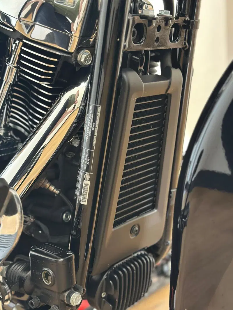 Harley-Davidson 107 Deluxe (2018 - 20) - FLDE (14)