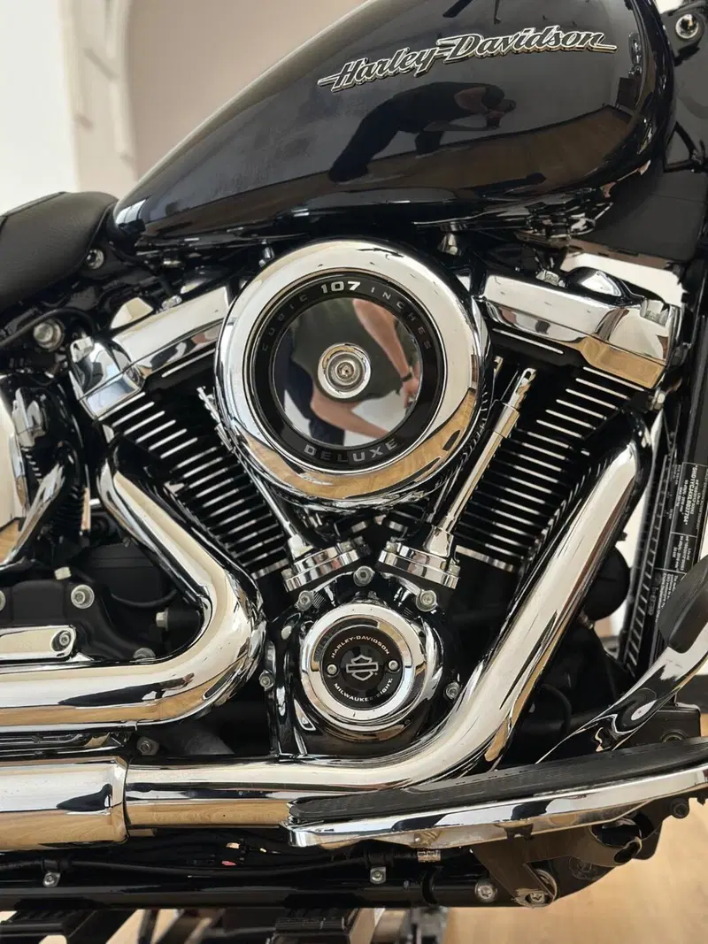 Harley-Davidson 107 Deluxe (2018 - 20) - FLDE (13)