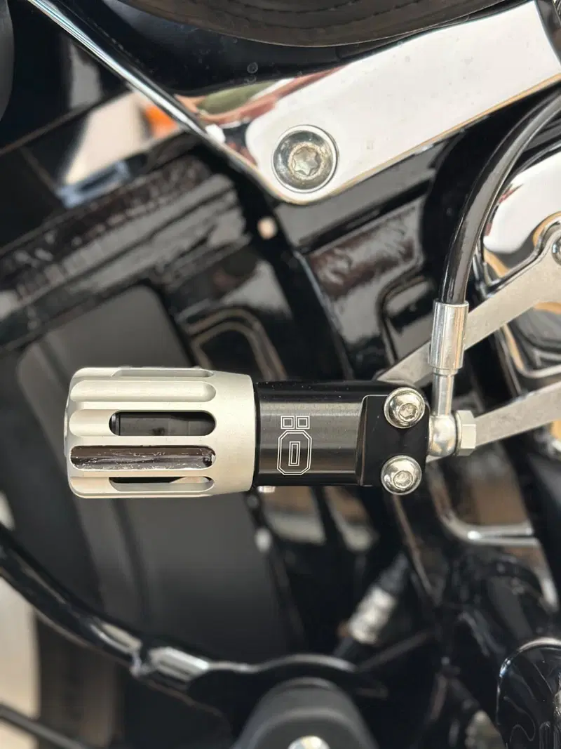 Harley-Davidson 107 Deluxe (2018 - 20) - FLDE (7)