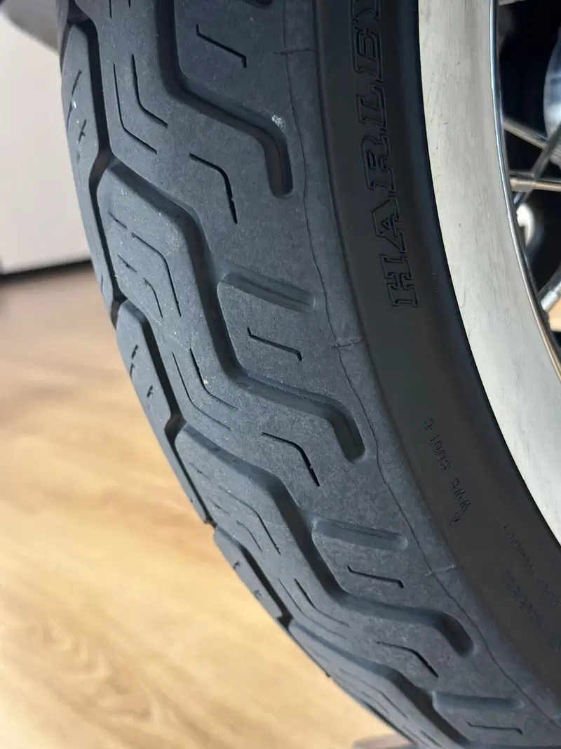 Harley-Davidson 107 Deluxe (2018 - 20) - FLDE (6)