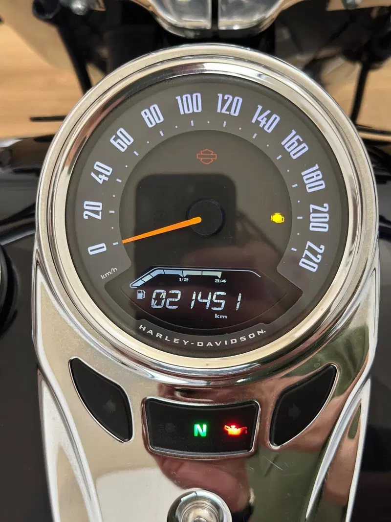 Harley-Davidson 107 Deluxe (2018 - 20) - FLDE (10)