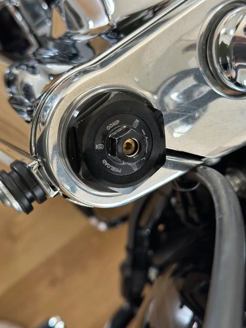 Harley-Davidson 107 Deluxe (2018 - 20) - FLDE (8)