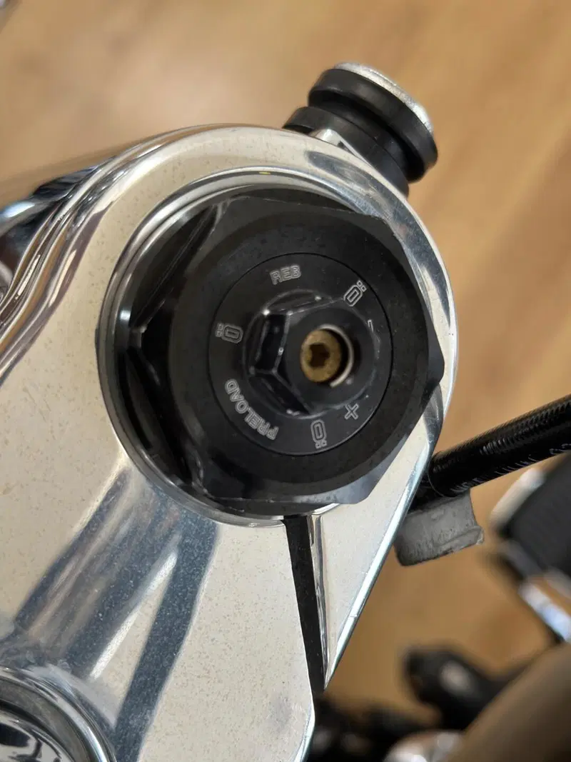 Harley-Davidson 107 Deluxe (2018 - 20) - FLDE (9)