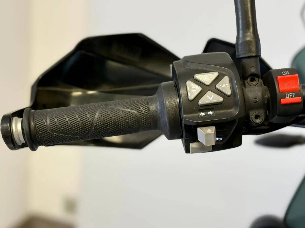 KTM 790 Adventure (2019 - 20) (17)