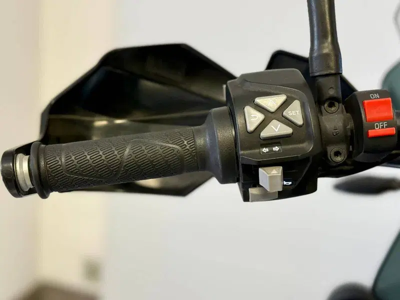 KTM 790 Adventure (2019 - 20) (17)