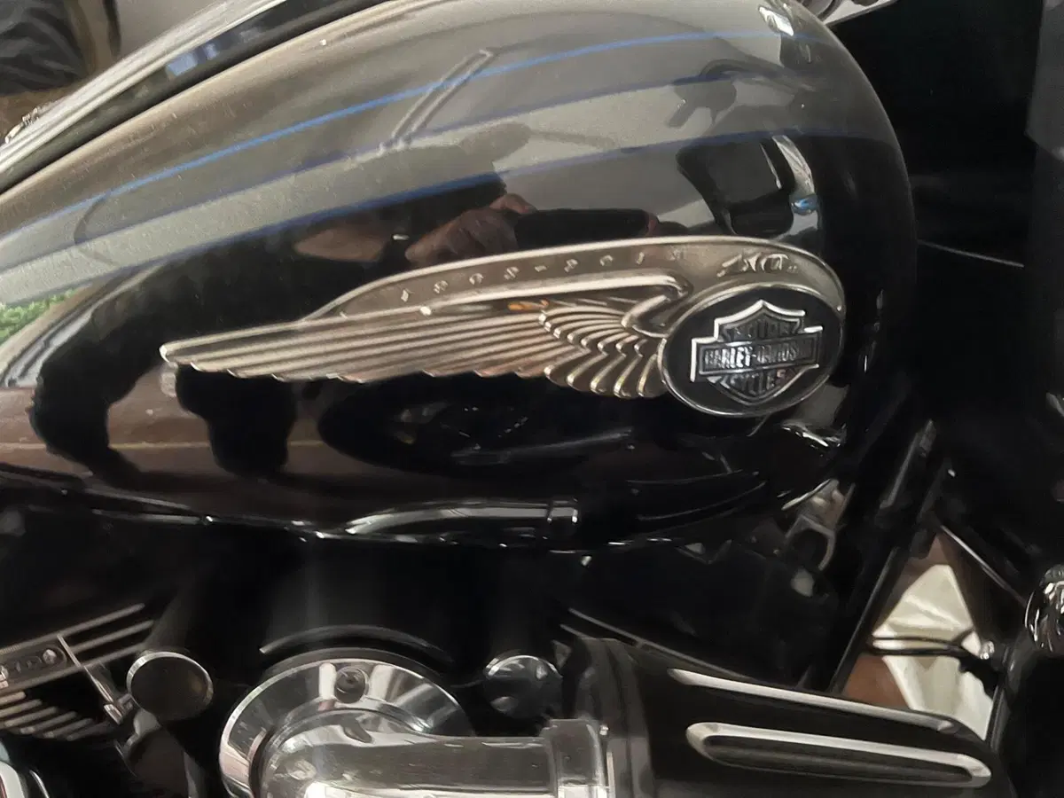 Harley-Davidson 1800 Road Glide Custom (2013) - FLTRXSE (10)