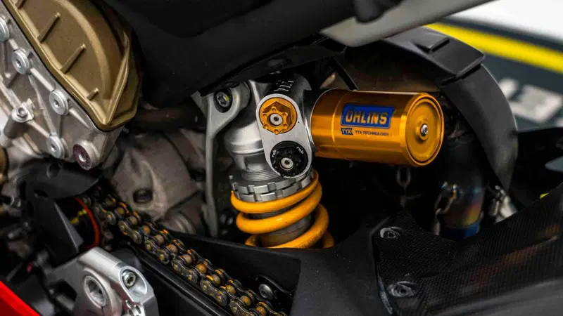 Ducati Panigale V4 R 1000 (2019 - 20) (15)