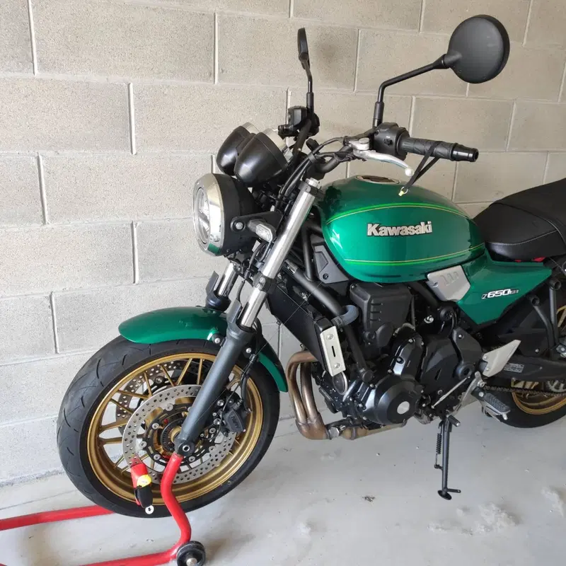 Kawasaki Z 650 RS (2022 - 24) (2)