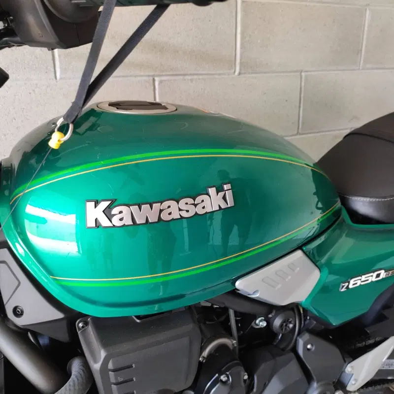 Kawasaki Z 650 RS (2022 - 24) (5)