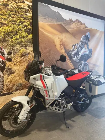 Ducati DesertX (2022 - 25) usata