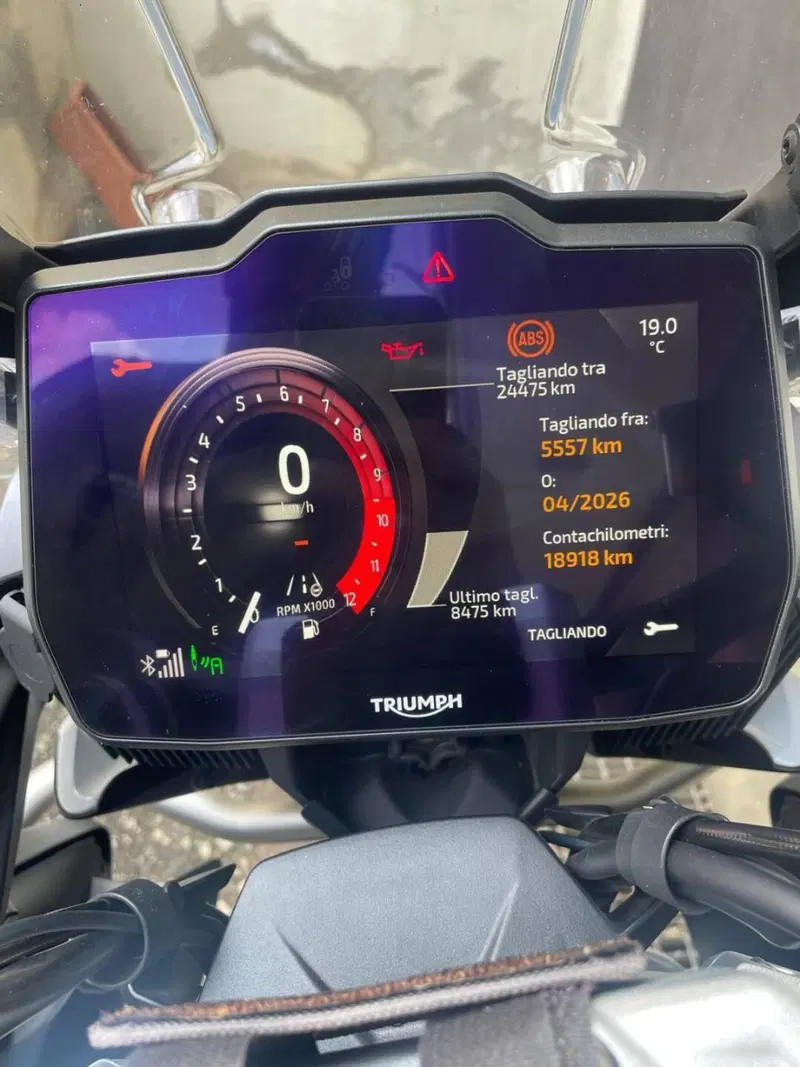 Triumph Tiger 1200 GT Explorer (2024 - 26) (3)