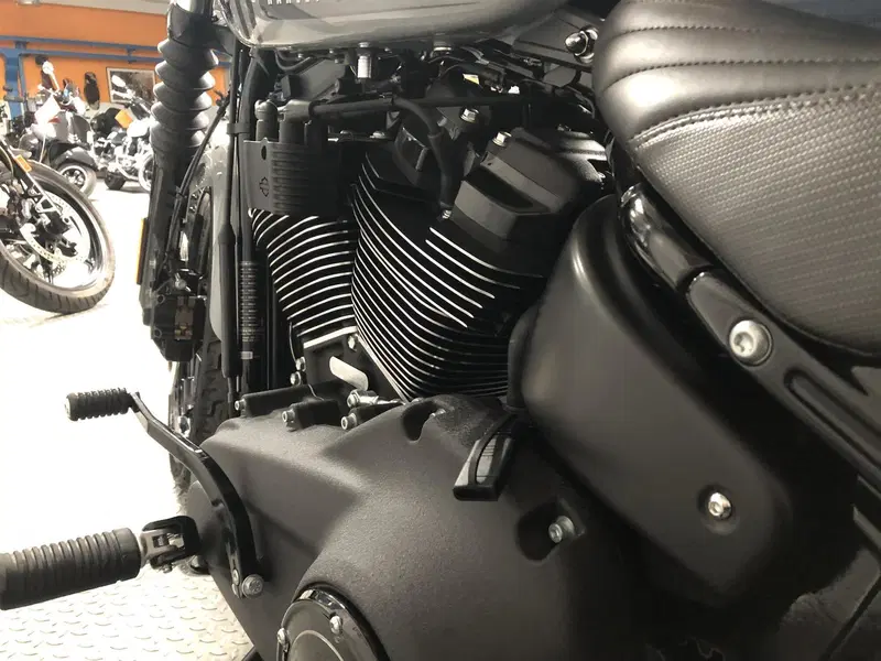 Harley-Davidson Street Bob 114 (2021 - 24) (6)