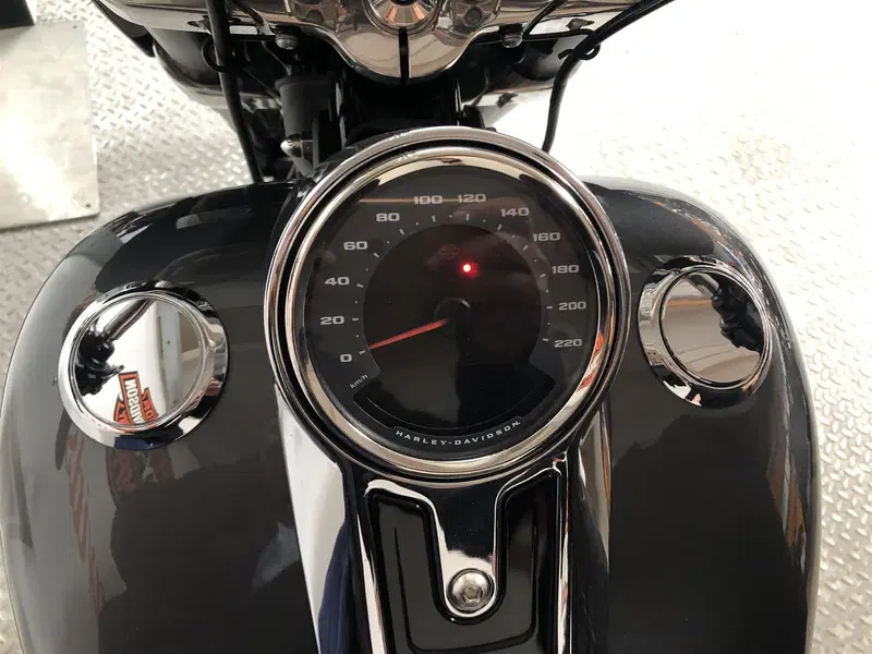 Harley-Davidson Sport Glide (2021 - 25) (7)