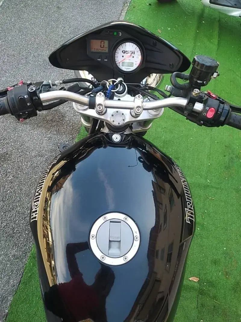Triumph Speed Triple 955 (2002 - 04) (6)