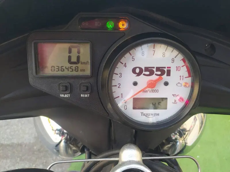 Triumph Speed Triple 955 (2002 - 04) (8)