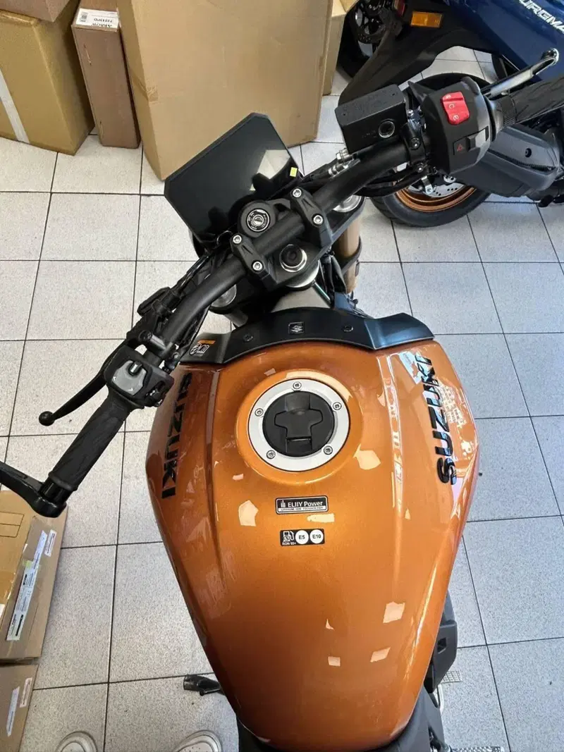 Suzuki GSX-8T (2025 - 26) (2)