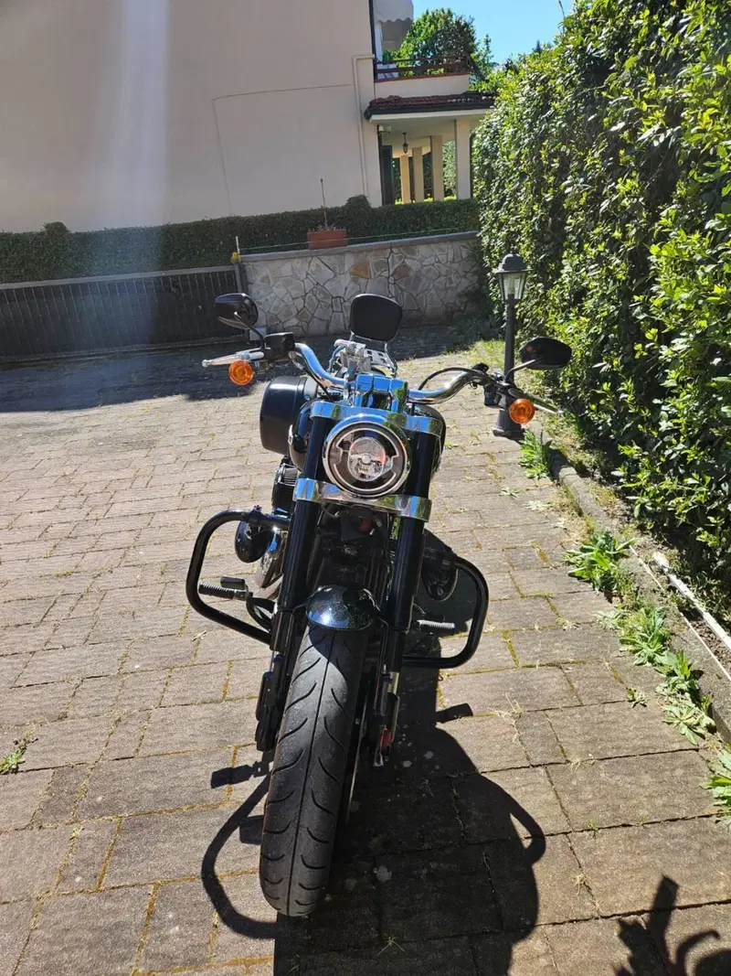 Harley-Davidson Sport Glide (2021 - 25) (12)