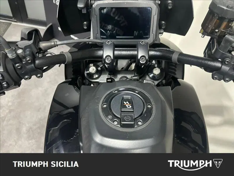 Harley-Davidson Pan America 1250 Special (2020 - 25) (11)