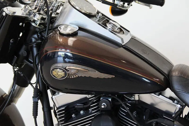 Harley-Davidson 1690 Fat Boy Special (2010 - 17) - FLSTF (17)