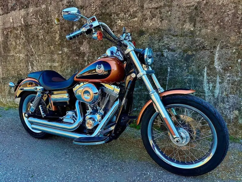 Harley-Davidson 1584 Super Glide Custom (2008 - 13) - FXDC (2)