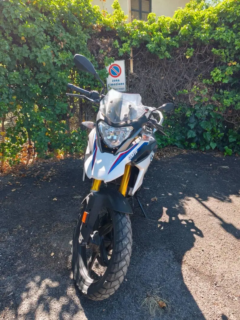 Bmw G 310 GS (2017 - 20) (3)