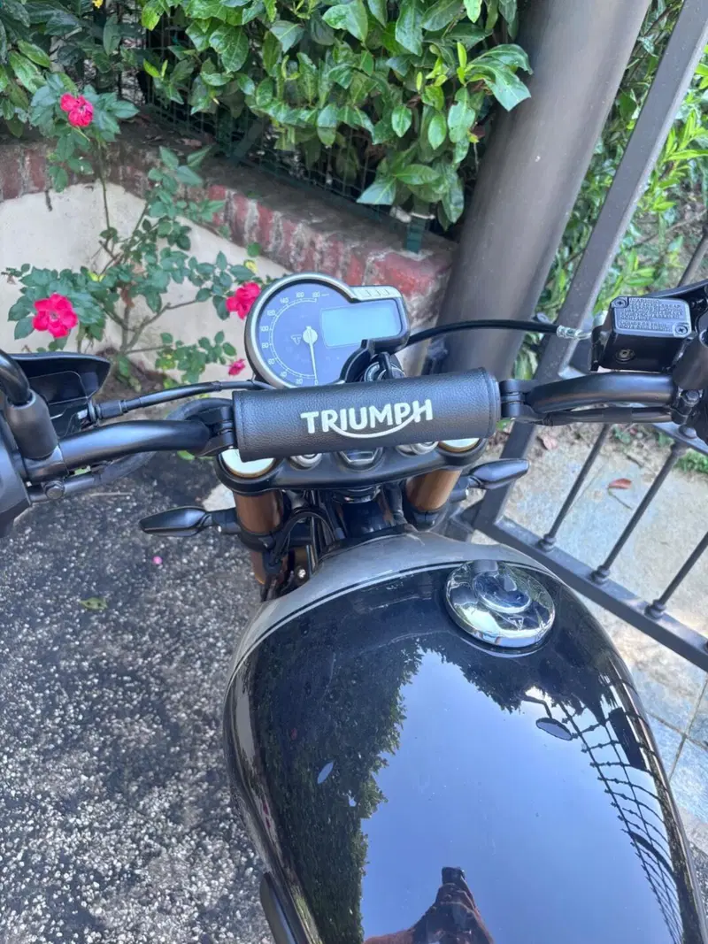 Triumph Scrambler 400 X (2024 - 26) (3)