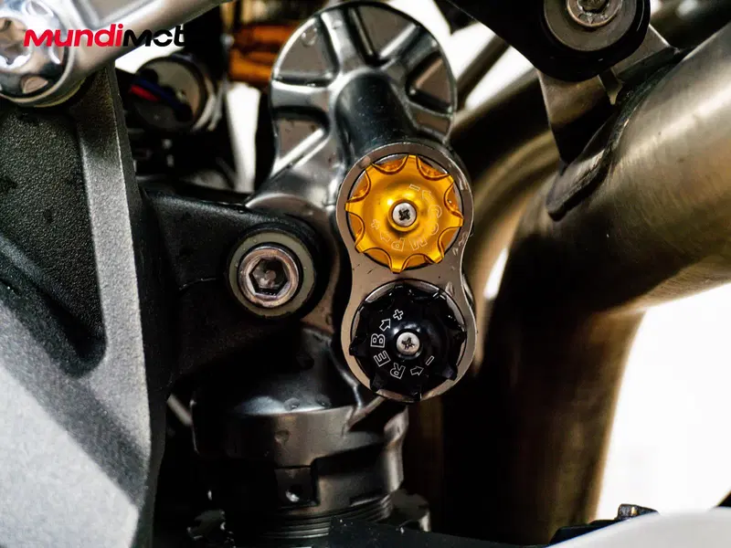 Triumph Speed Triple 1050 RS (2018 - 20) (9)