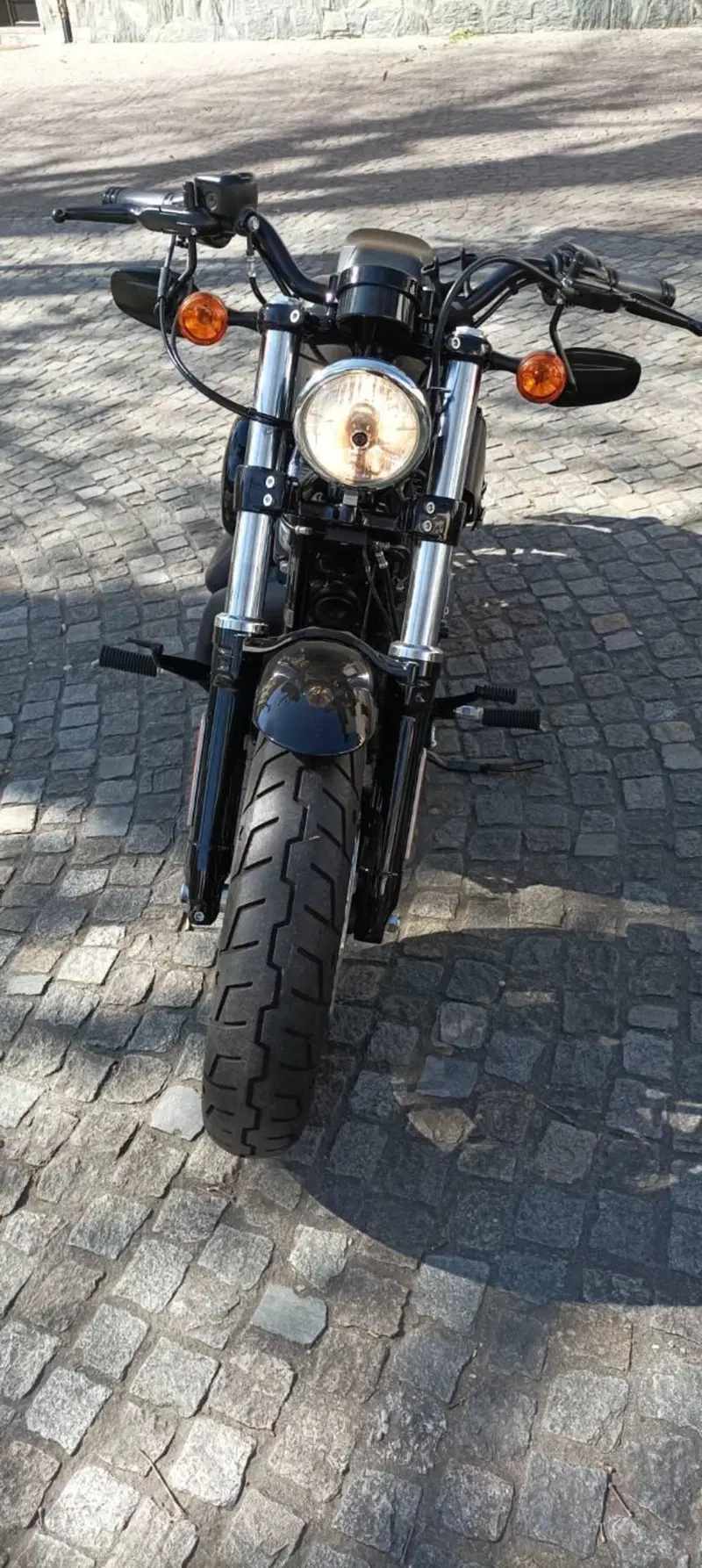 Harley-Davidson 1200 Forty-Eight (2016 - 20) (6)