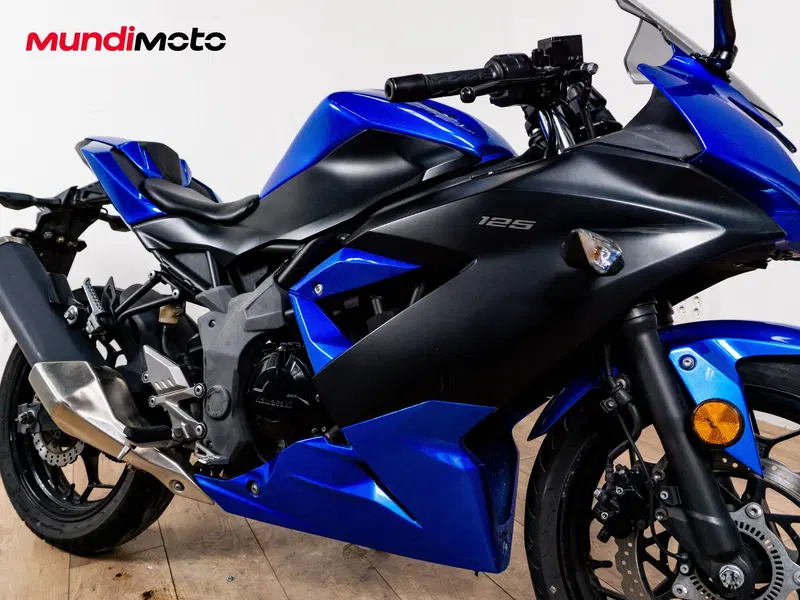 Kawasaki Ninja 300 ABS (2012 - 16) (5)