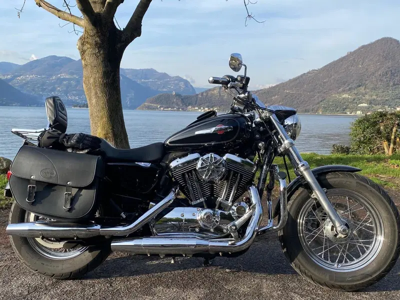 Harley-Davidson 1200 Custom (2007 - 13) - XL 1200C (2)