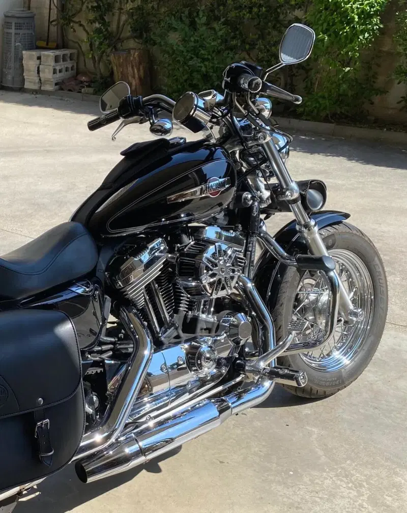 Harley-Davidson 1200 Custom (2007 - 13) - XL 1200C (3)