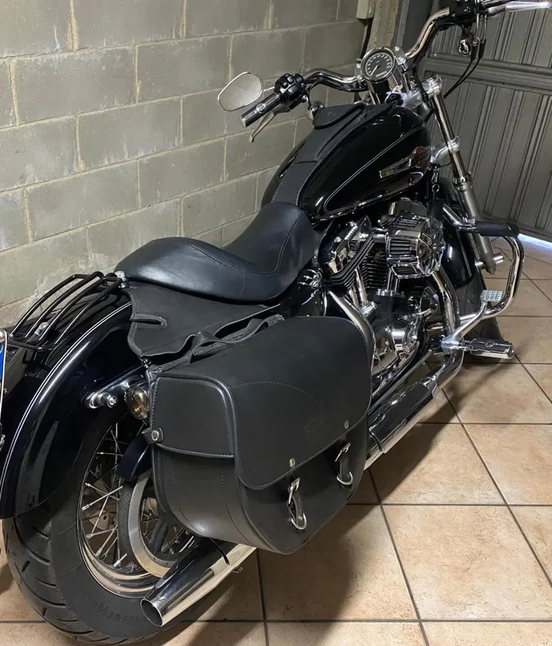 Harley-Davidson 1200 Custom (2007 - 13) - XL 1200C (4)