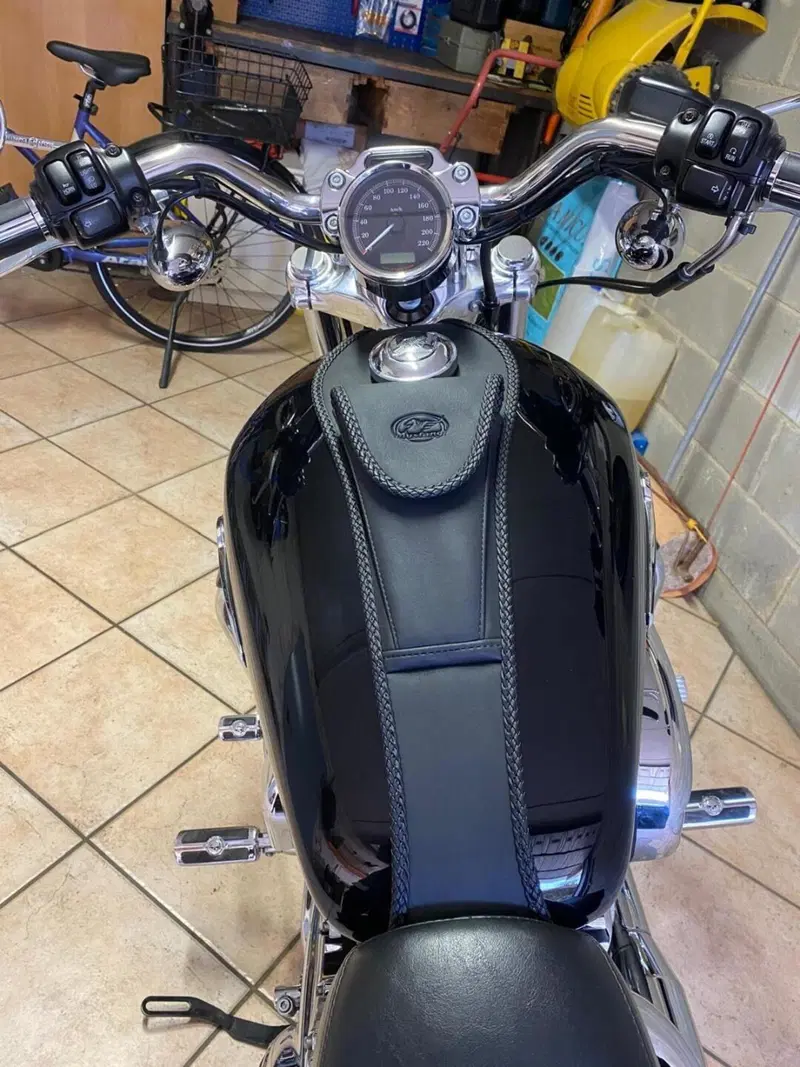 Harley-Davidson 1200 Custom (2007 - 13) - XL 1200C (6)