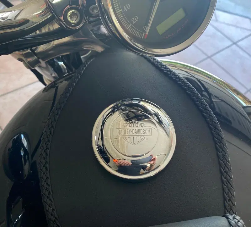 Harley-Davidson 1200 Custom (2007 - 13) - XL 1200C (8)