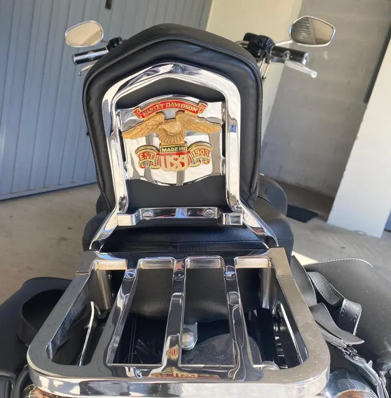 Harley-Davidson 1200 Custom (2007 - 13) - XL 1200C (9)
