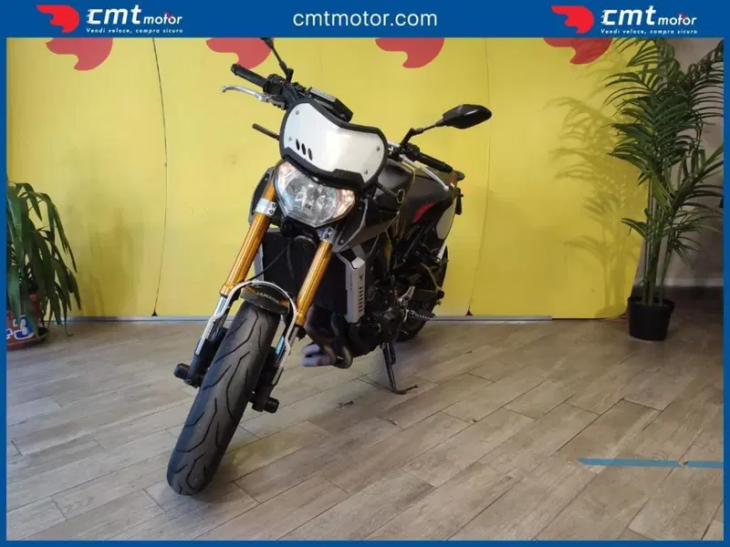 Yamaha MT-09 (2013 - 15) (2)