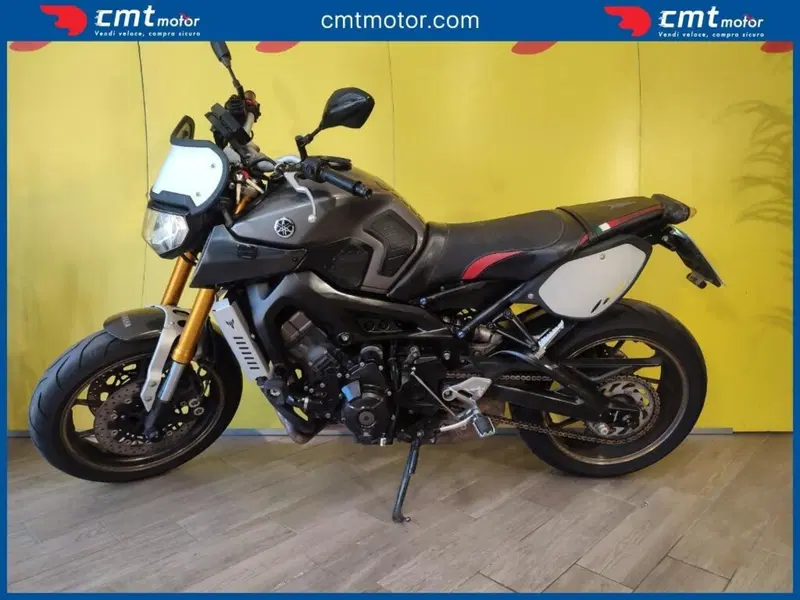 Yamaha MT-09 (2013 - 15) (3)