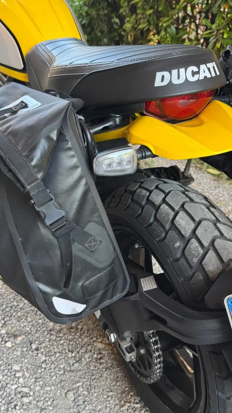Ducati Scrambler 800 Icon (2021 - 22) (5)