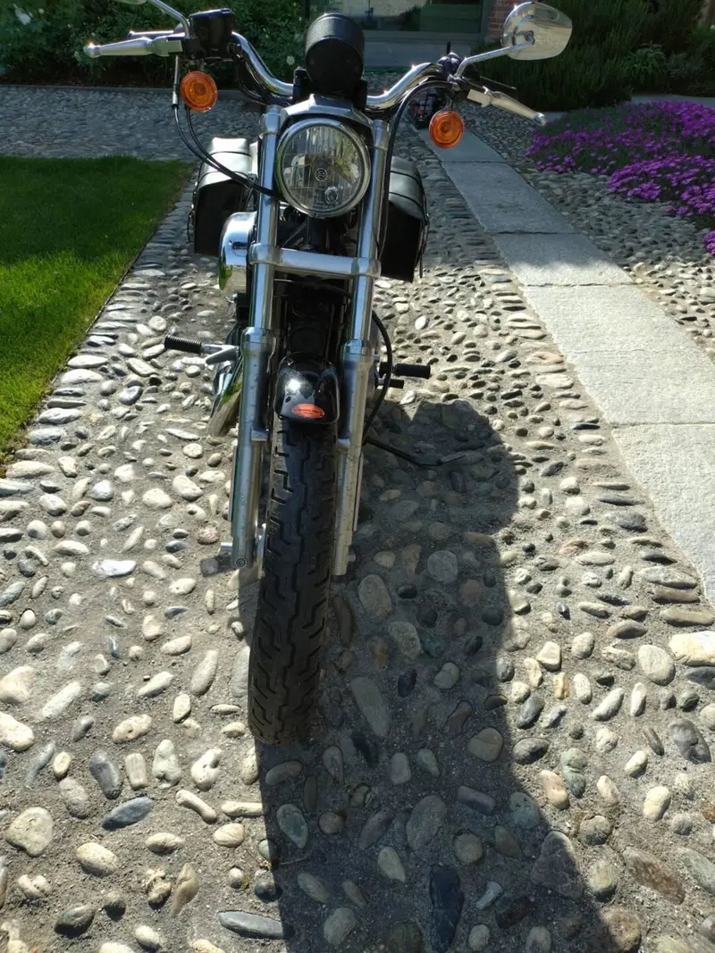 Harley-Davidson 883 (2006 - 07) - XL (3)